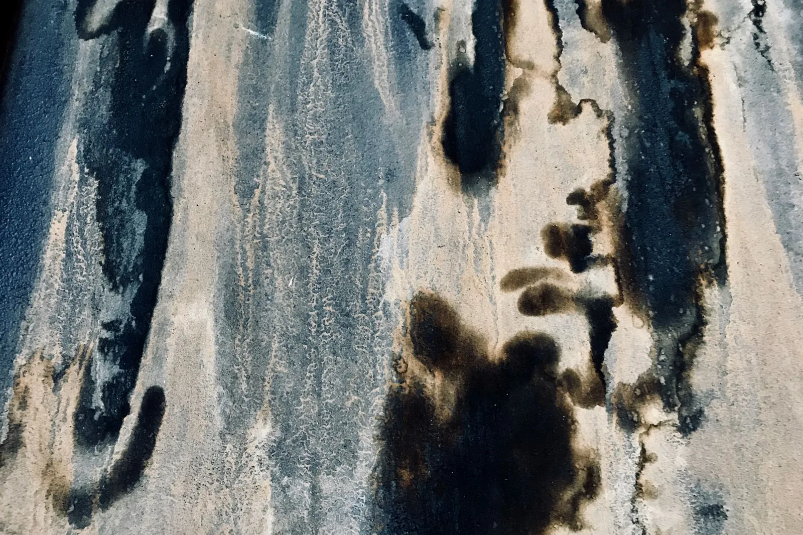 Black mould spreading across a wall surface