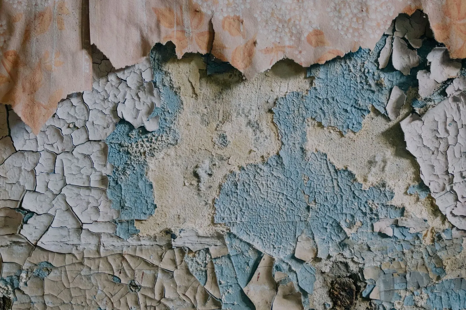 Peeling paint on an old wall, often the first visible sign of damp